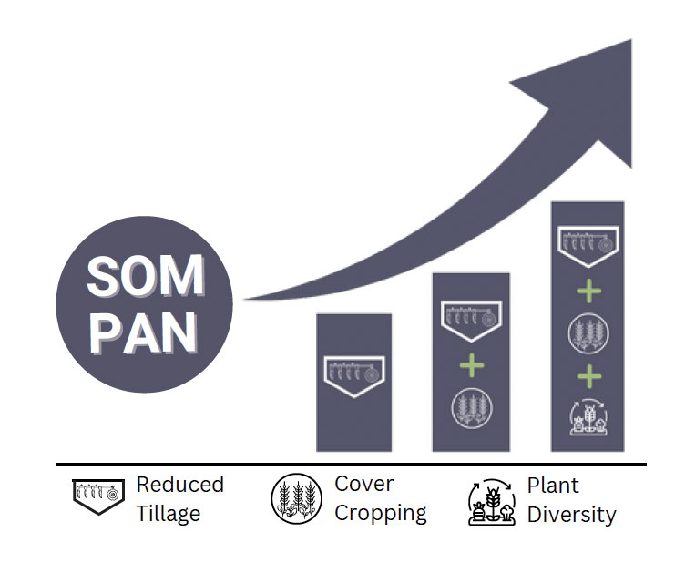 Soil Summary 2022